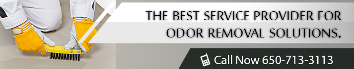 About our company