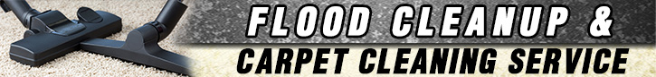 Stain Removal Service - Carpet Cleaning Foster City, CA